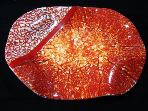203 Fossils - Large Dish Like Red Fossils